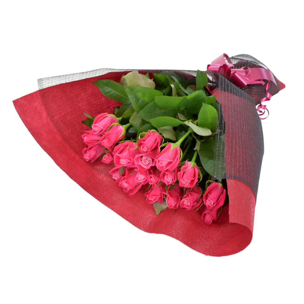 タージマハル 濃いピンク薔薇 50cm 20本